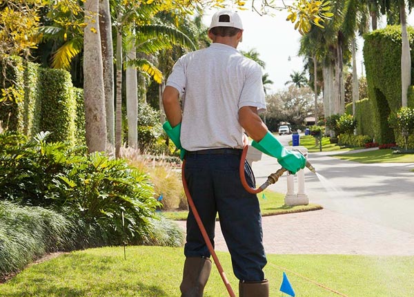About Modesto CA Pest Control